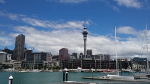 sightseeing in Auckland